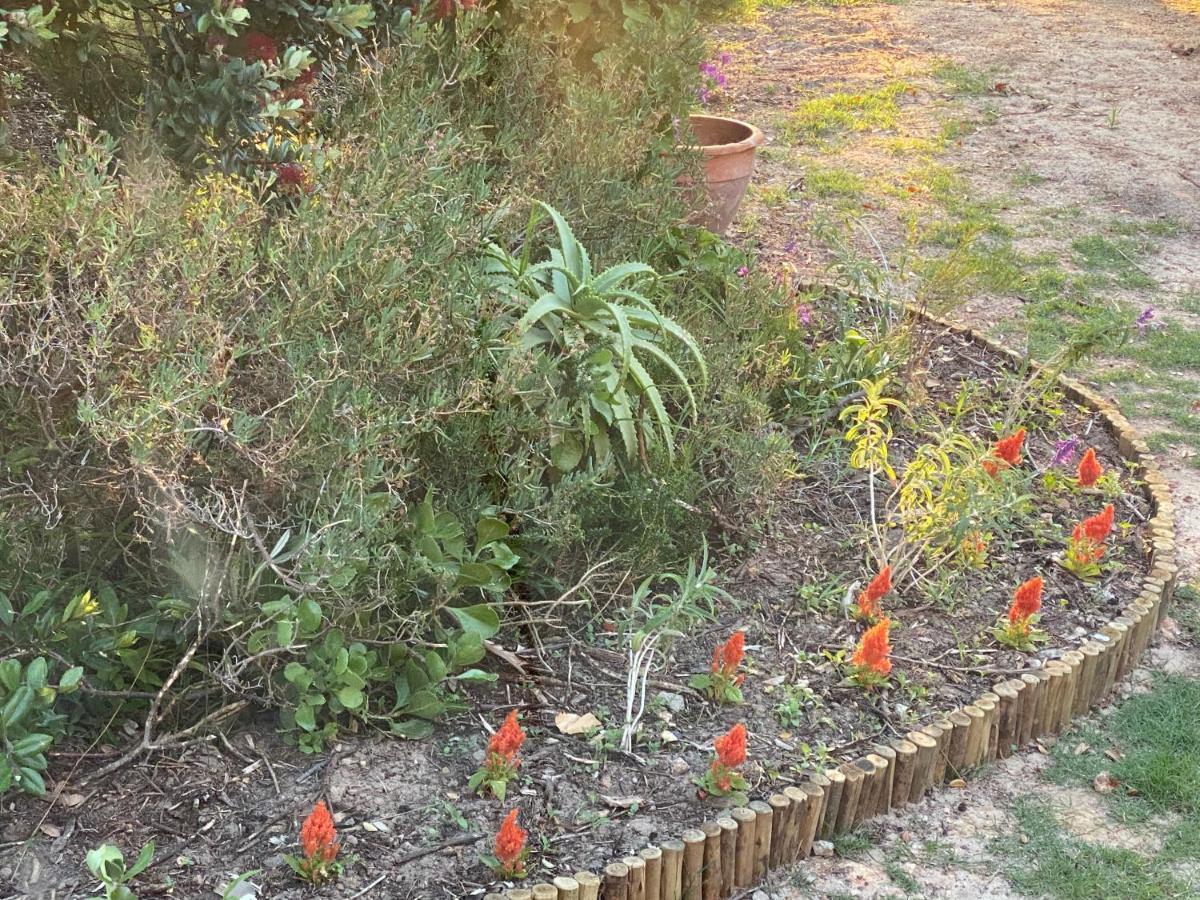 נורדהוק Wild Rose Country Lodge מראה חיצוני תמונה